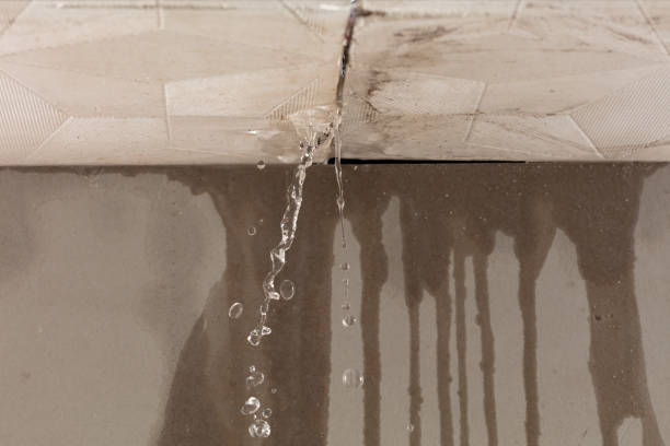 Professional Structural Drying technician working in Argyle, TX